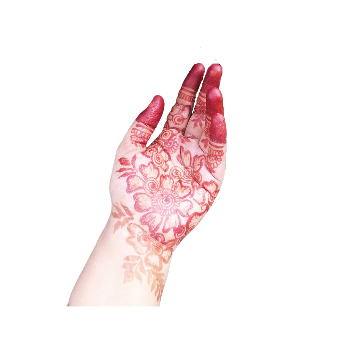 Festive wear and mehendi